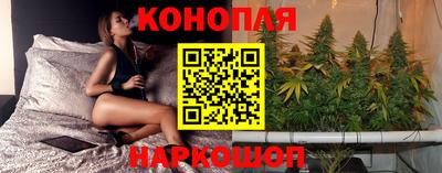 прущие крисы Ипатово